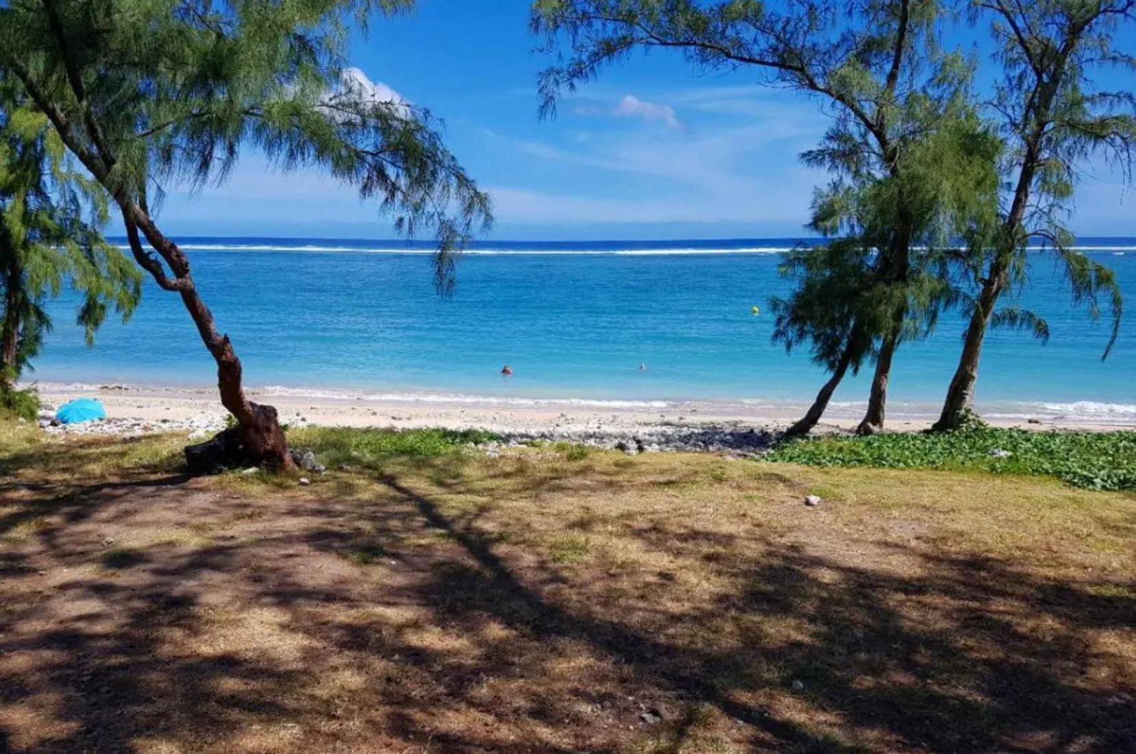 Le Tamarin Bleu - Studio A 300 M De La Plage Ла-Салин-ле-Бен Экстерьер фото